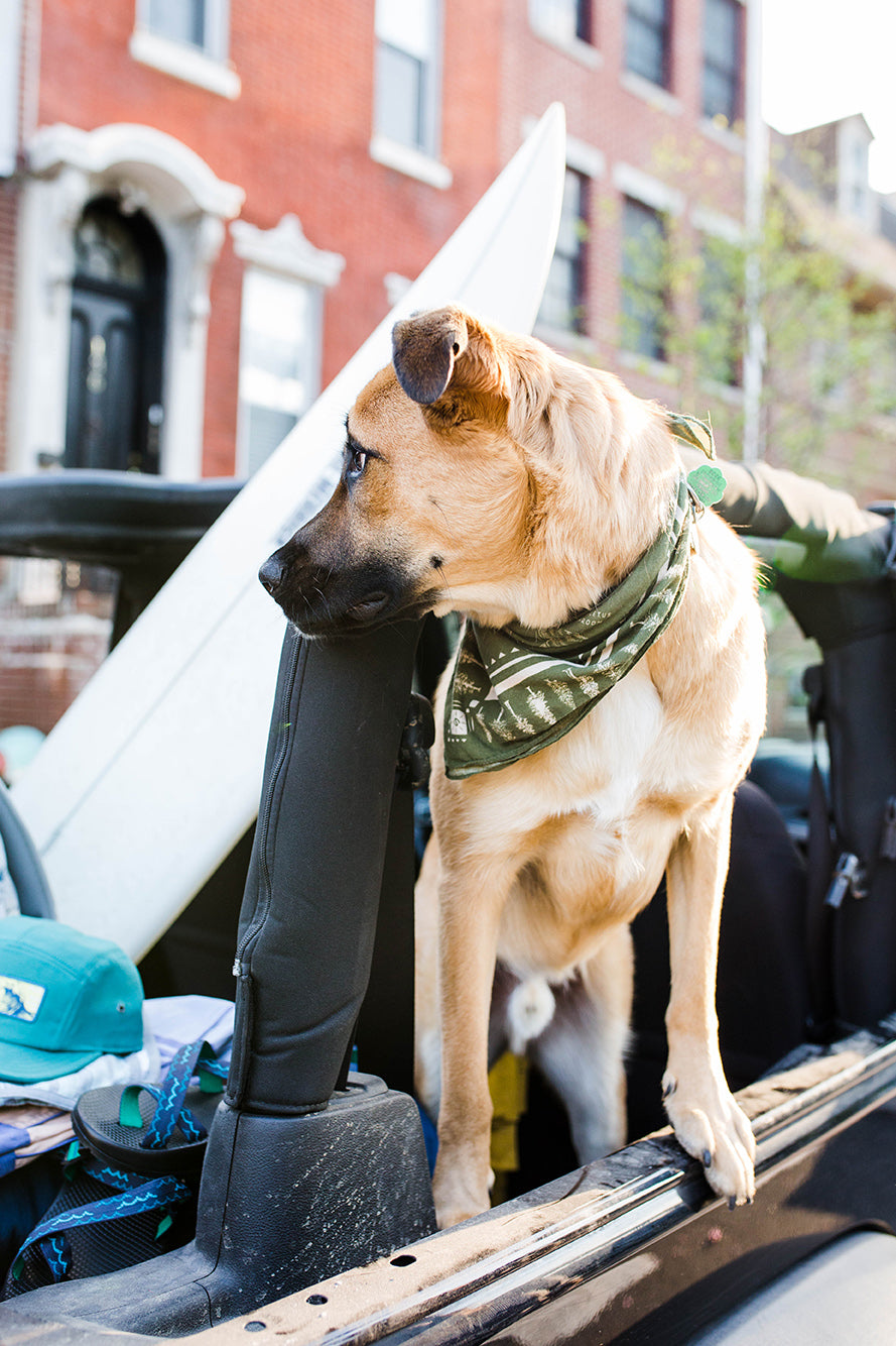Field Guide Bandana